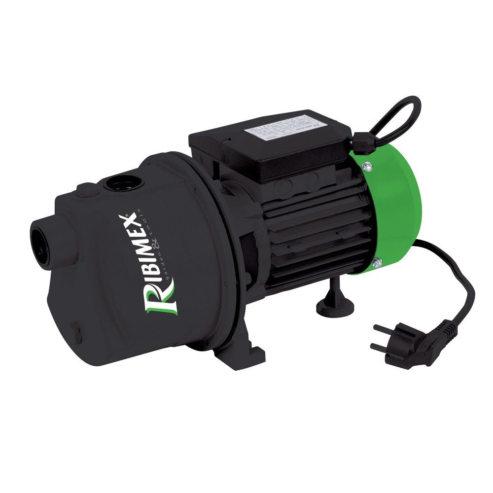 Pompa di superficie JET61 600 W