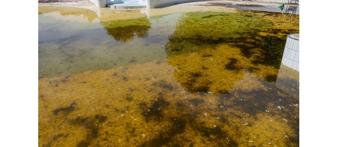 Come trattare l'acqua della piscina